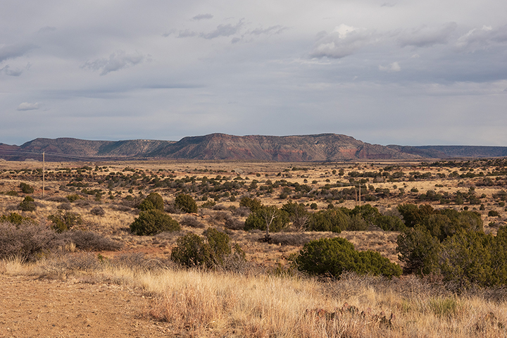 Juniper savanna interspersed with grassland with mountains in the background